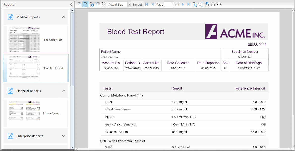 WPF Reporting Engine