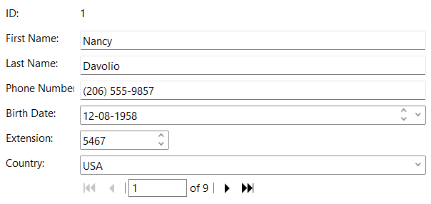 WinForms Input Windows 11 Styles