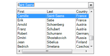 WinForms Powerful Combobox