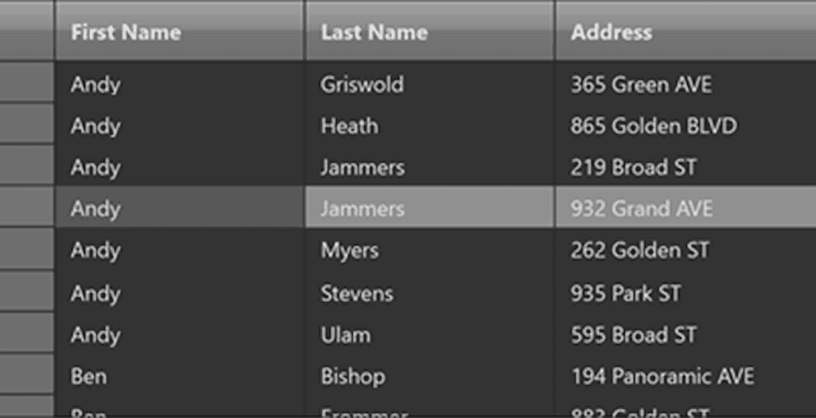 WinUI Datagrid Filter