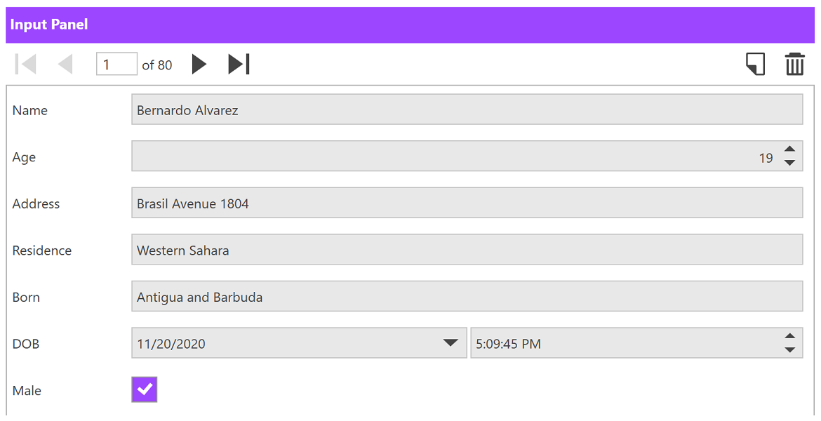 WPF Input Panel