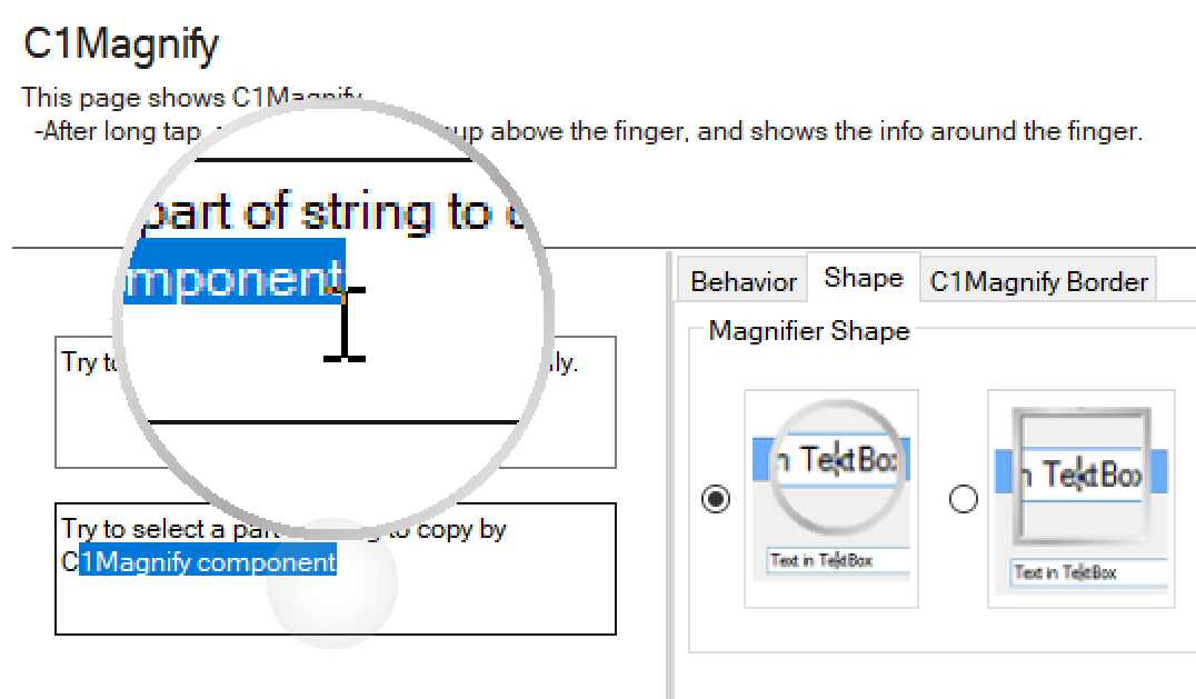 WinForms Magnify Window