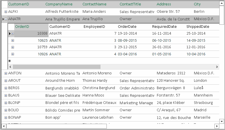 WinForms Datagrid Detail Row