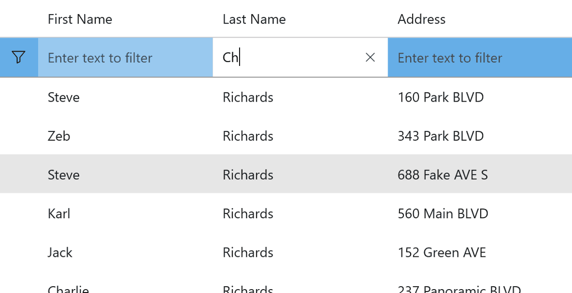 WinUI Datagrid Filter