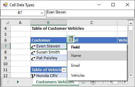 .NET Spreadsheet Solution Cell Data Types Custom Objects