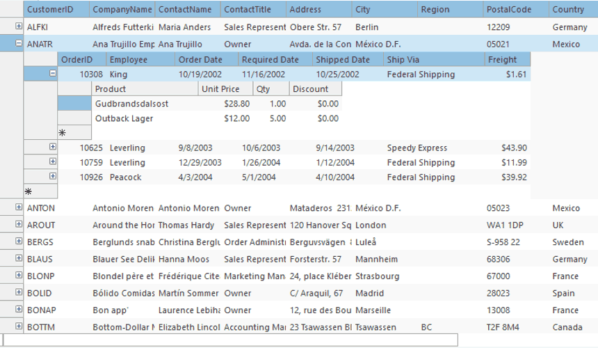 WinForms Datagrid