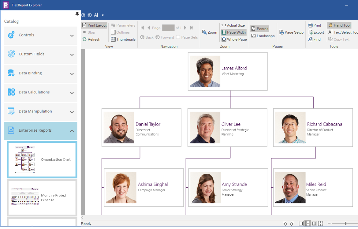 WinForms FlexReport Explorer