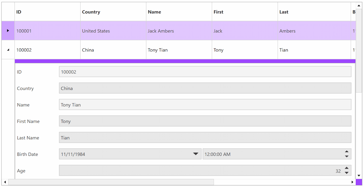 WPF Input Form Control